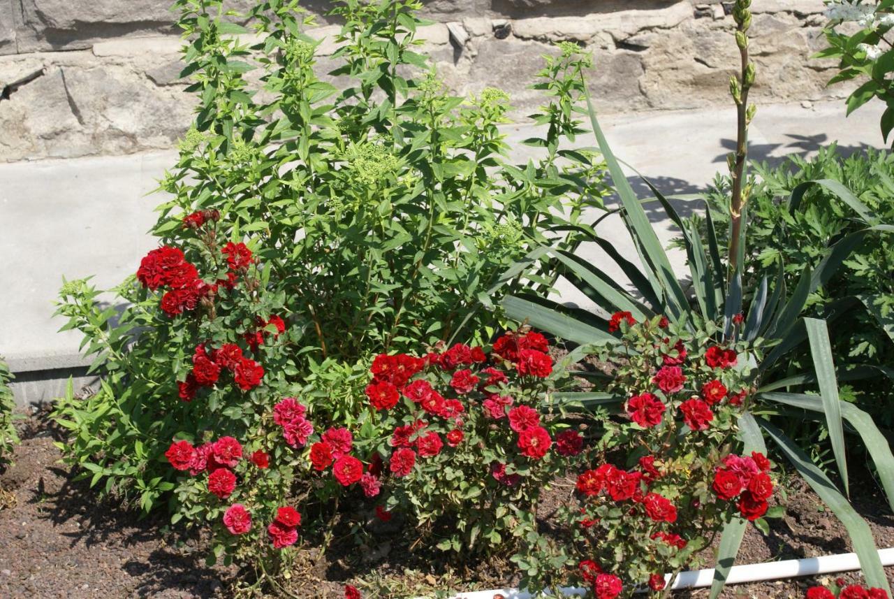 Sisian Karin'S B&B מראה חיצוני תמונה