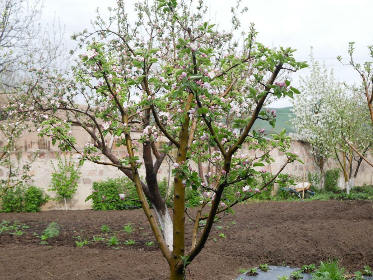 Sisian Karin'S B&B מראה חיצוני תמונה